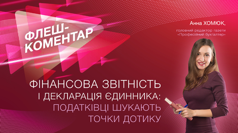 Фінансова звітність та декларація єдинника: податківці шукають точки дотику