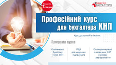 Професійний курс для бухгалтера КНП (7 годин +)